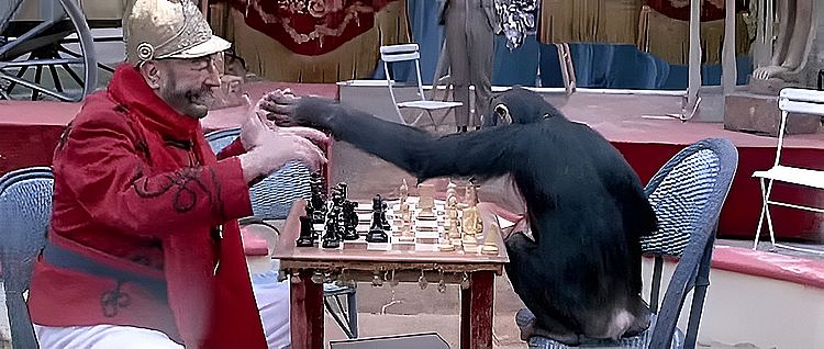 Червовый король /Le Roi de Coeur/ 1966 (0:29:25 / 1:43:15)