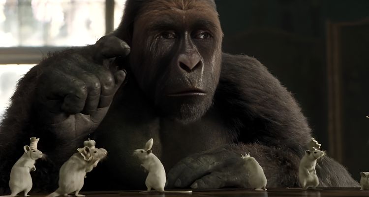 Удивительное путешествие доктора Дулиттла /Dolittle/ 2020 (0:07:15 / 1:41:42)